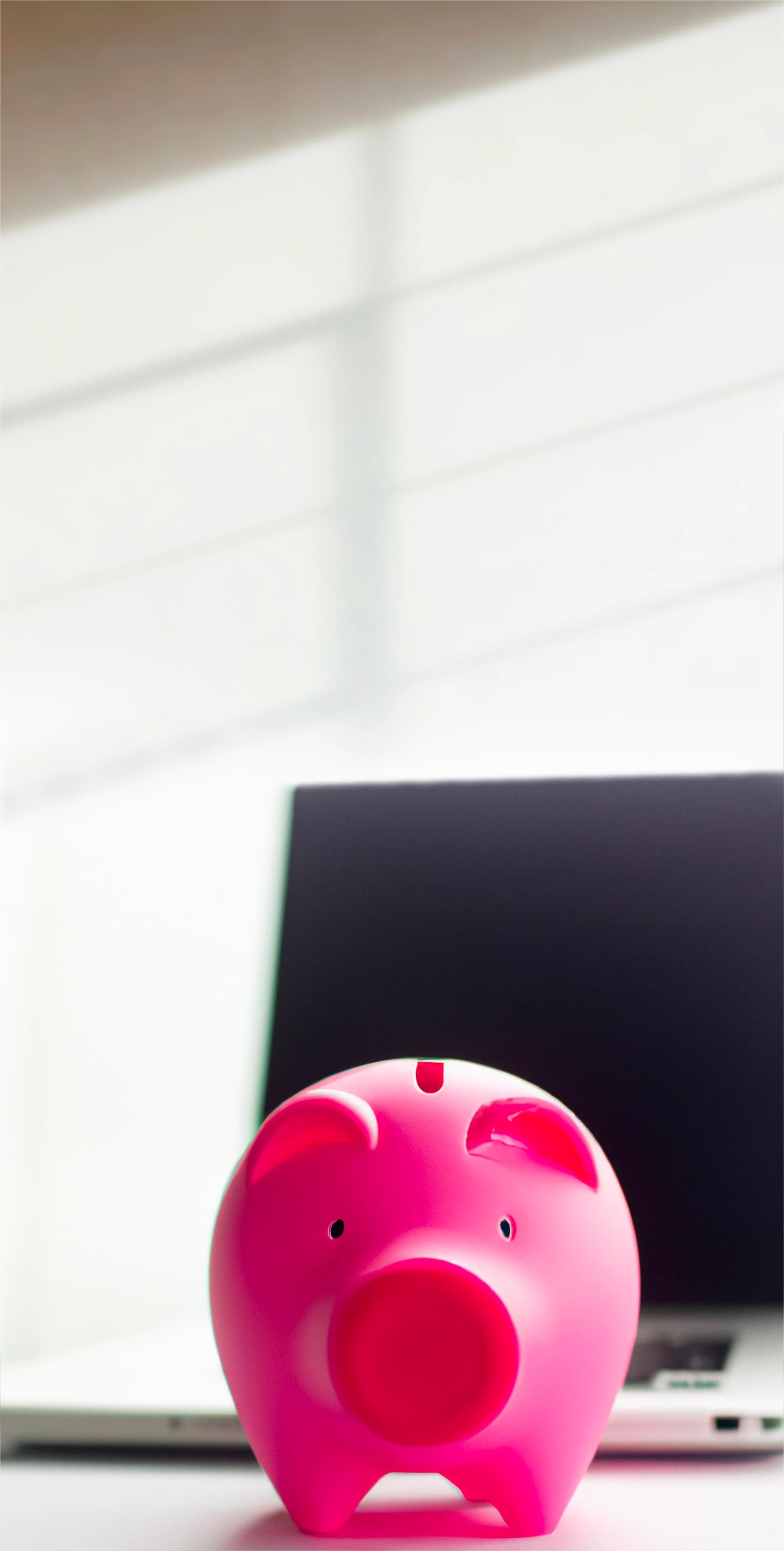 Piggy bank with laptop in background
